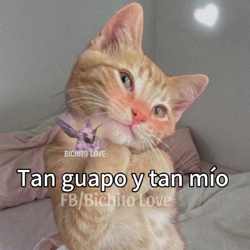 mi niño