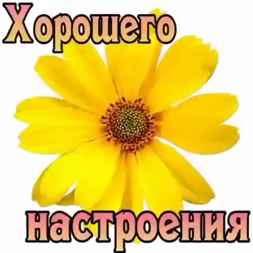 соль