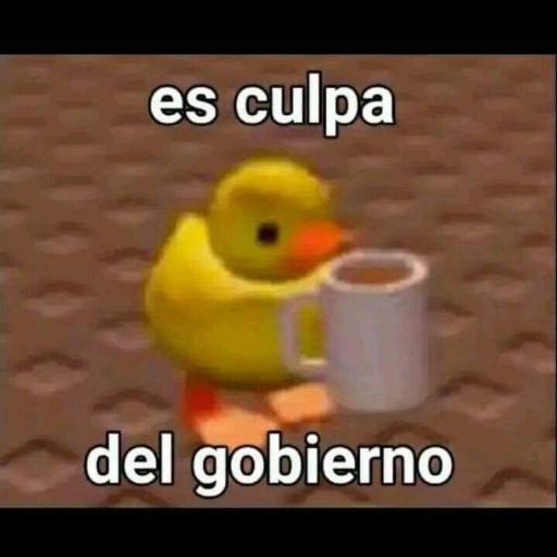 es culpa del gobierno
