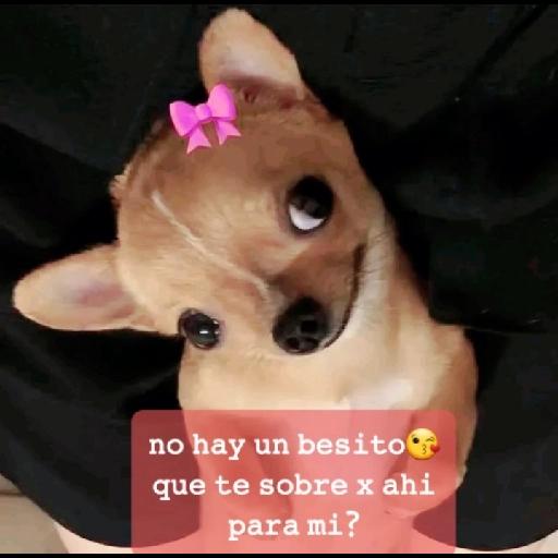 no hay un besito que te sobre x ahi para mi?