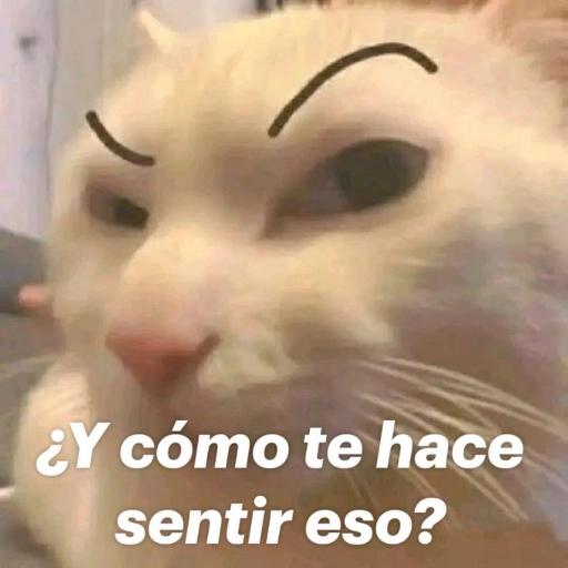 real🥺
