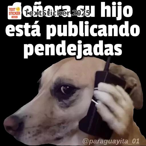 PA EL DESMADRE 