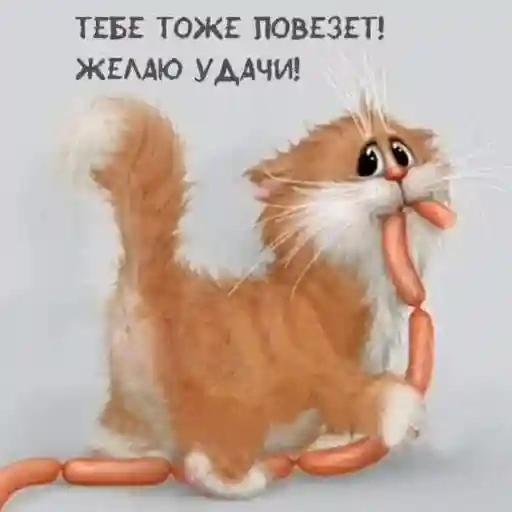 такккккк
