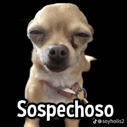 AH CARAY! ESO SI ME INTERESA...