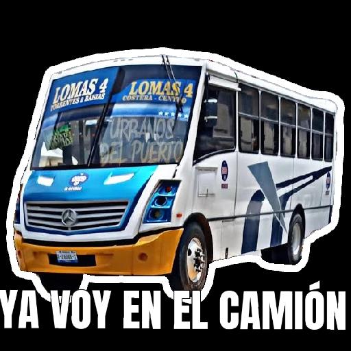 MI PAQUETE25
