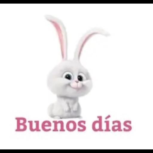 Buenos días