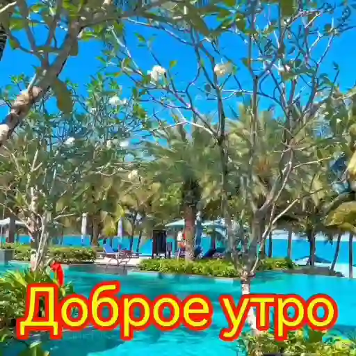 позитив