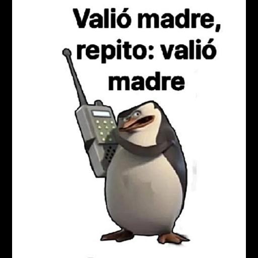 MEMES 