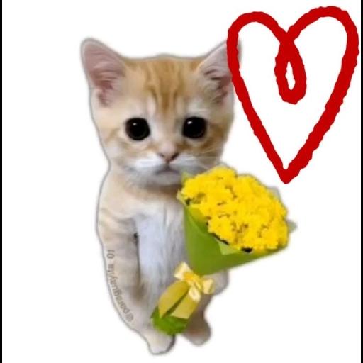 Feliz Tarde, Bellas Flores, Bendiciones