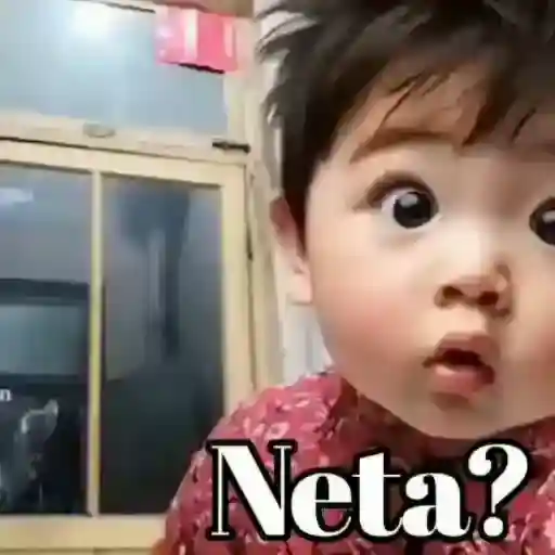 Neta?