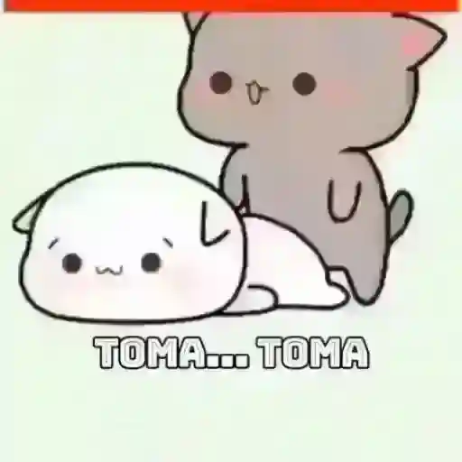yo yo yo