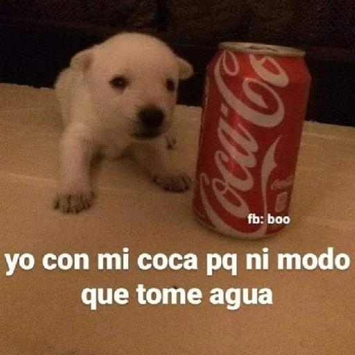 RARO
