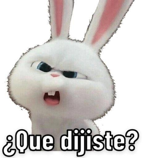 Que haces?