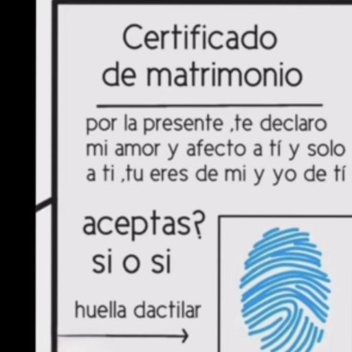 te amito 