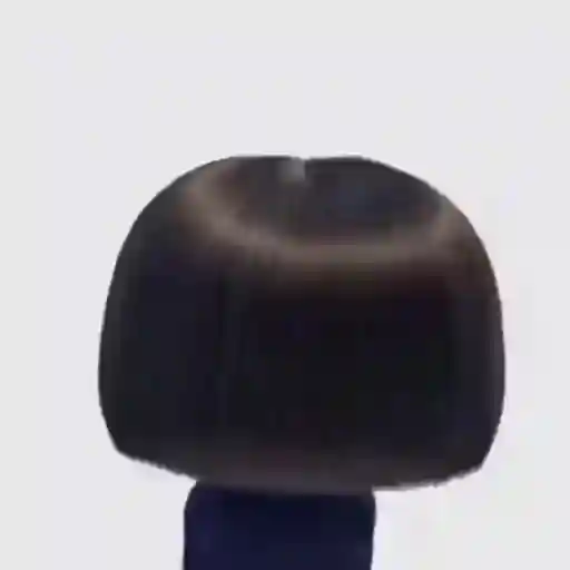 ame 77 
