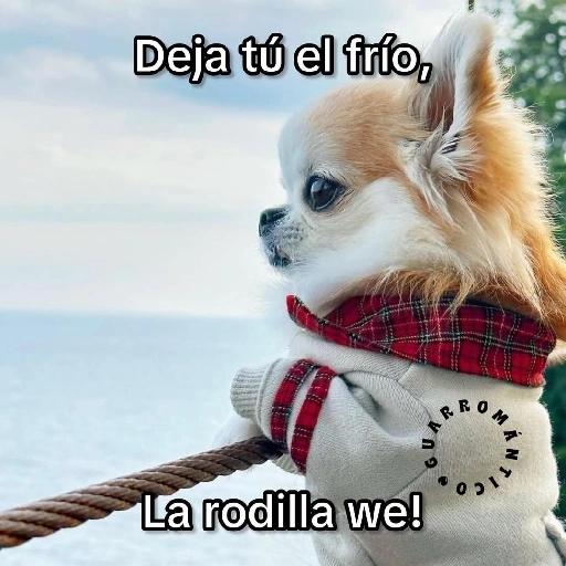 Me Gusta