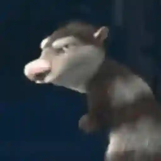 tierno