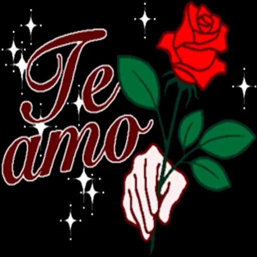 TAS PENDEJO →