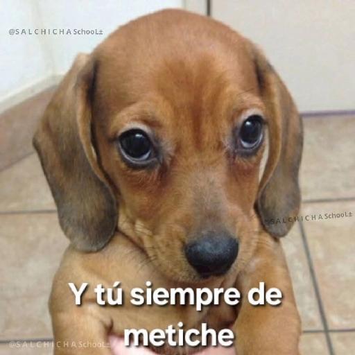 Y tú siempre de metiche