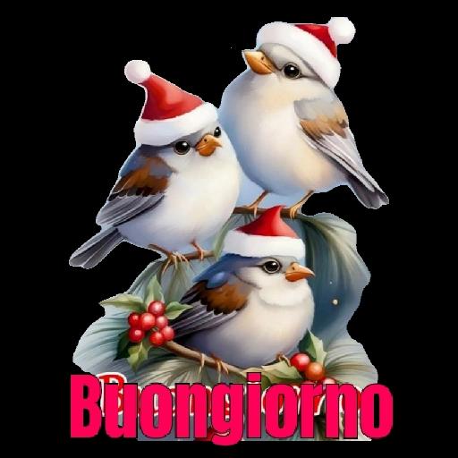 BuonanoTTE