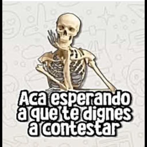 Aca esperando a que te dignes a contestar