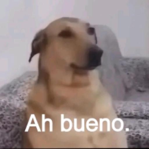PA EL DESMADRE 