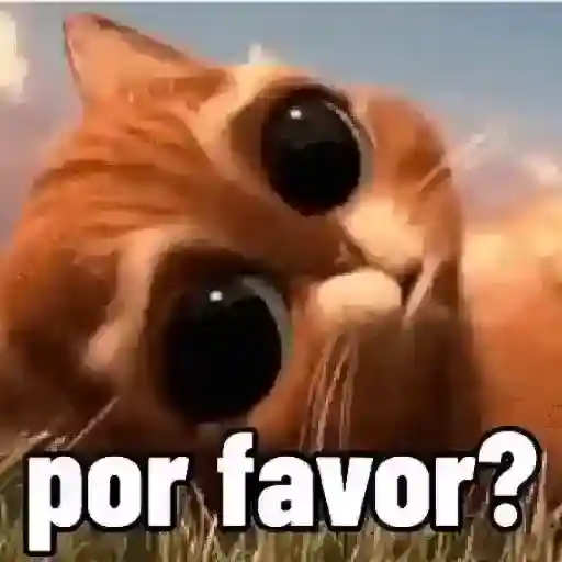 buenos días