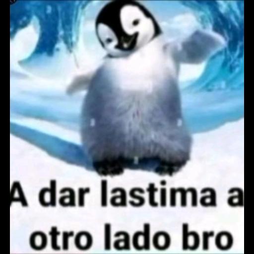 memes 