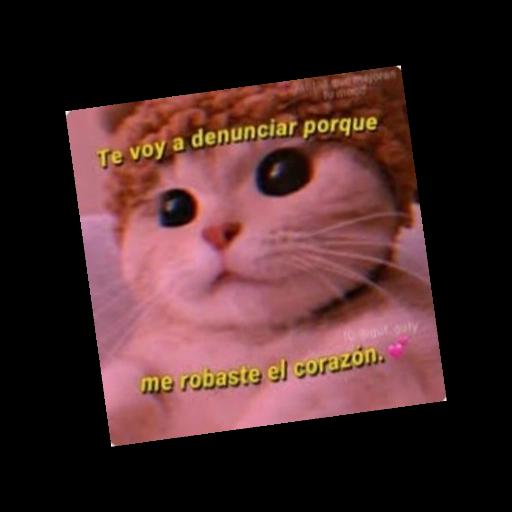 Te voy a denunciar porque me robaste el corazón.