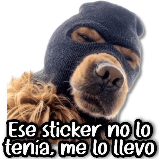 Fría como el viento