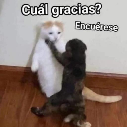 ORA SI TE LA AMASTE