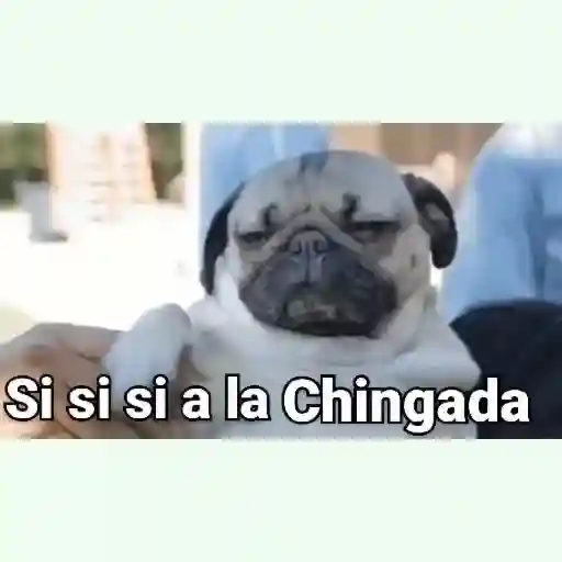 ytfji