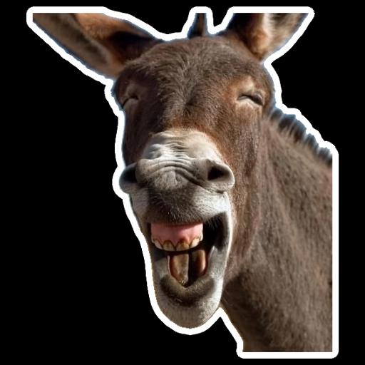 sueños y risas😊🌈