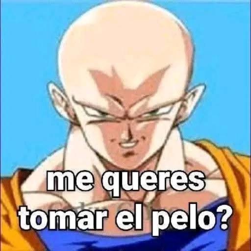 insecto