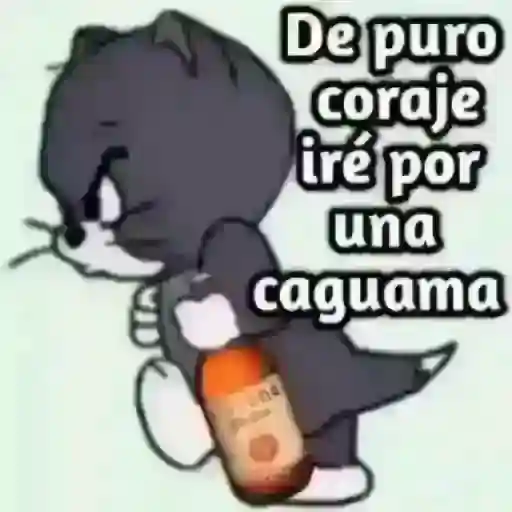nuevo.....