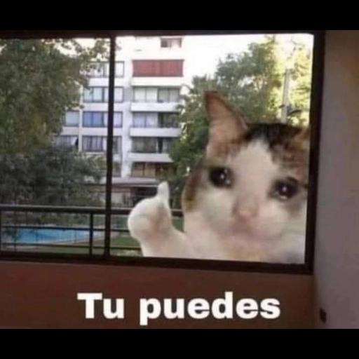 LO SIENTO, TEMPORALMENTE CERRADO Buenas noches ME VOY A DORMIR
