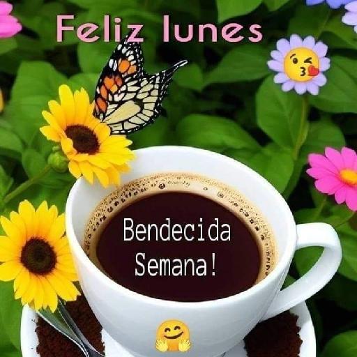 Feliz lunes Bendecida Semana!
