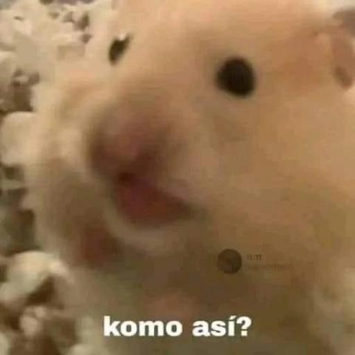 RARO