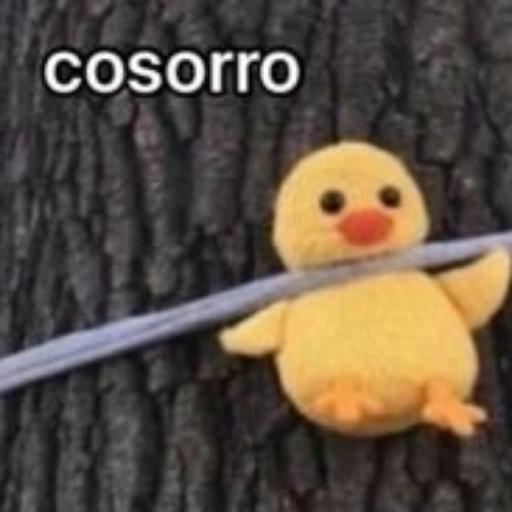 perritos