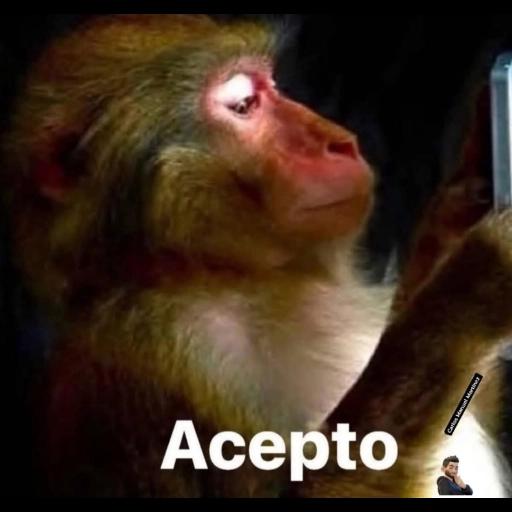 Acepto
