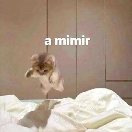 DR EAD K