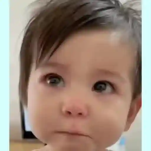 tierno