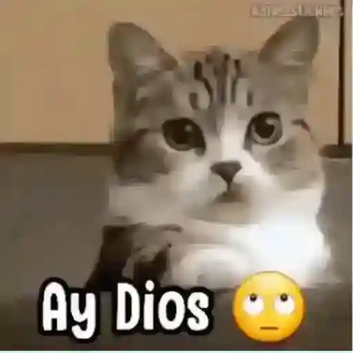 Ay Dios