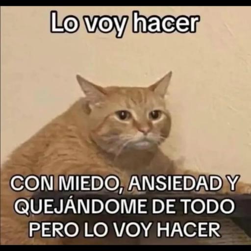 mira pariente