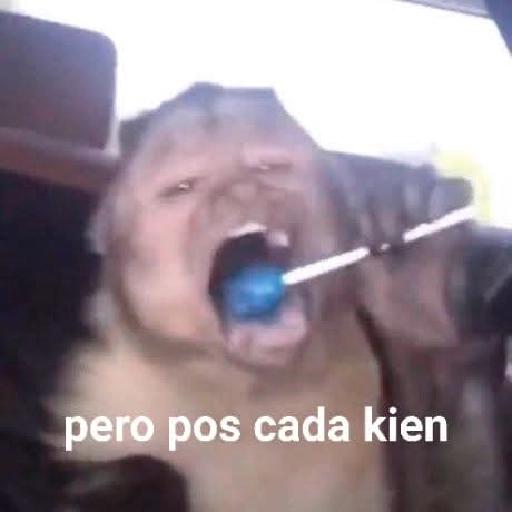 Buen Día!! Arriba... Feliz Sábado!!
