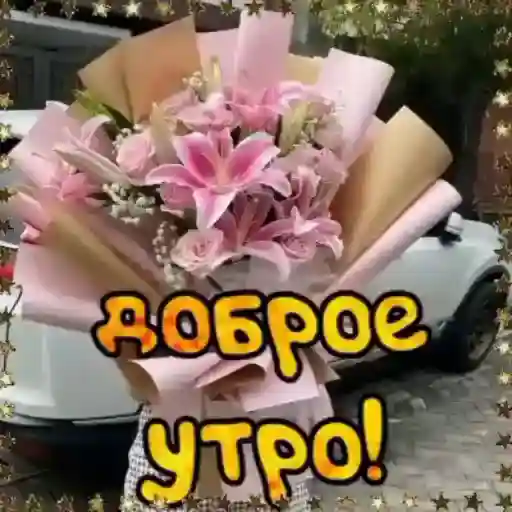 Анимированные 