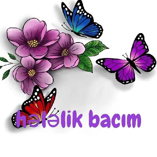 Gözəl Bacım