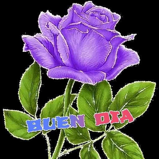 buen dia