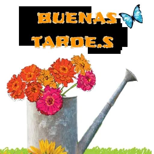 buenas tardes 
