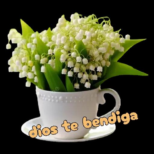 dios te bendiga